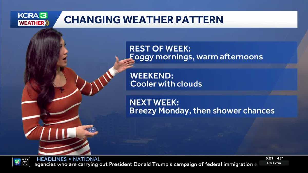 Dense Thursday fog before sunny afternoon