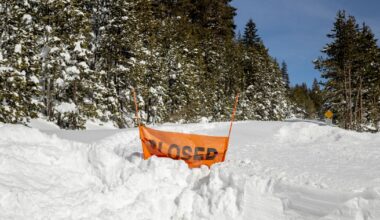 Ski guides in spotlight as investigators probe deadly California avalanche :: WRAL.com