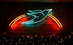 The Bluebird Cafe in Nashville, Tenn.