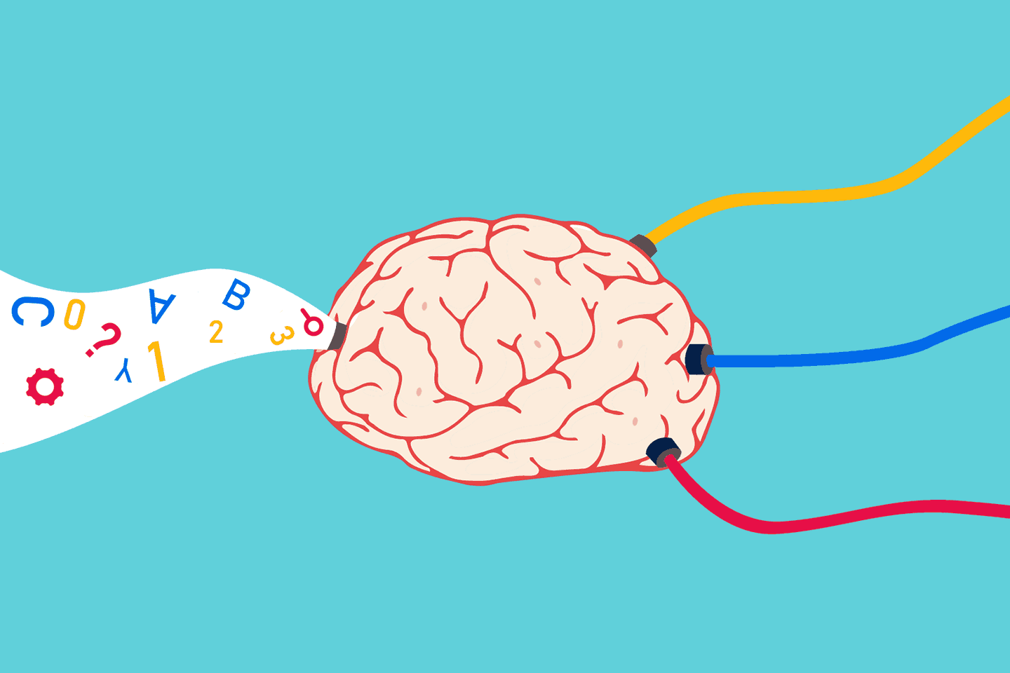 The Brain May Learn More from Rare Events than from Repetition