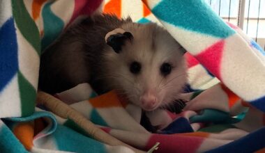 New ambassador at Oakland Nature Preserve