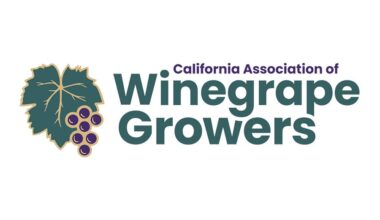 California Winegrape Growers Advance 2026 Legislative Agenda, Call Industry to Action