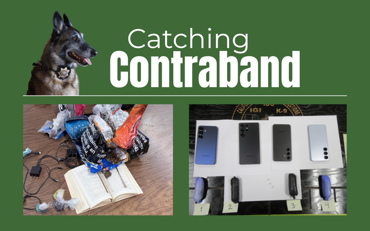 K-9 teams found contraband at Gabilan Conservation Camp and Wasco State Prison-Reception Center including drugs and phones.