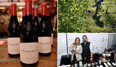 Another California wine giant shuts site and axes staff as chaos flows across Napa Valley