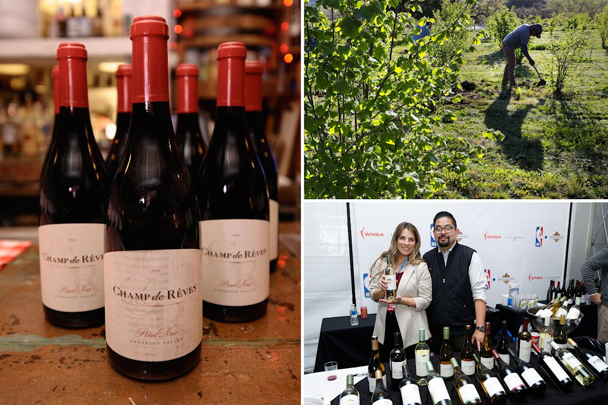 Another California wine giant shuts site and axes staff as chaos flows across Napa Valley