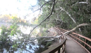 Recent rain/wind storms cause havoc in Sunset Beach