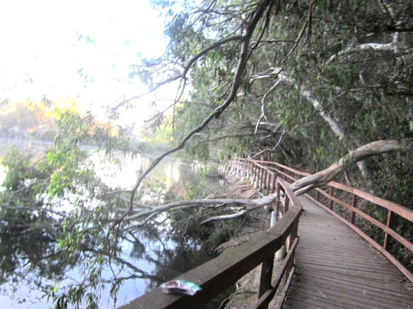 Recent rain/wind storms cause havoc in Sunset Beach