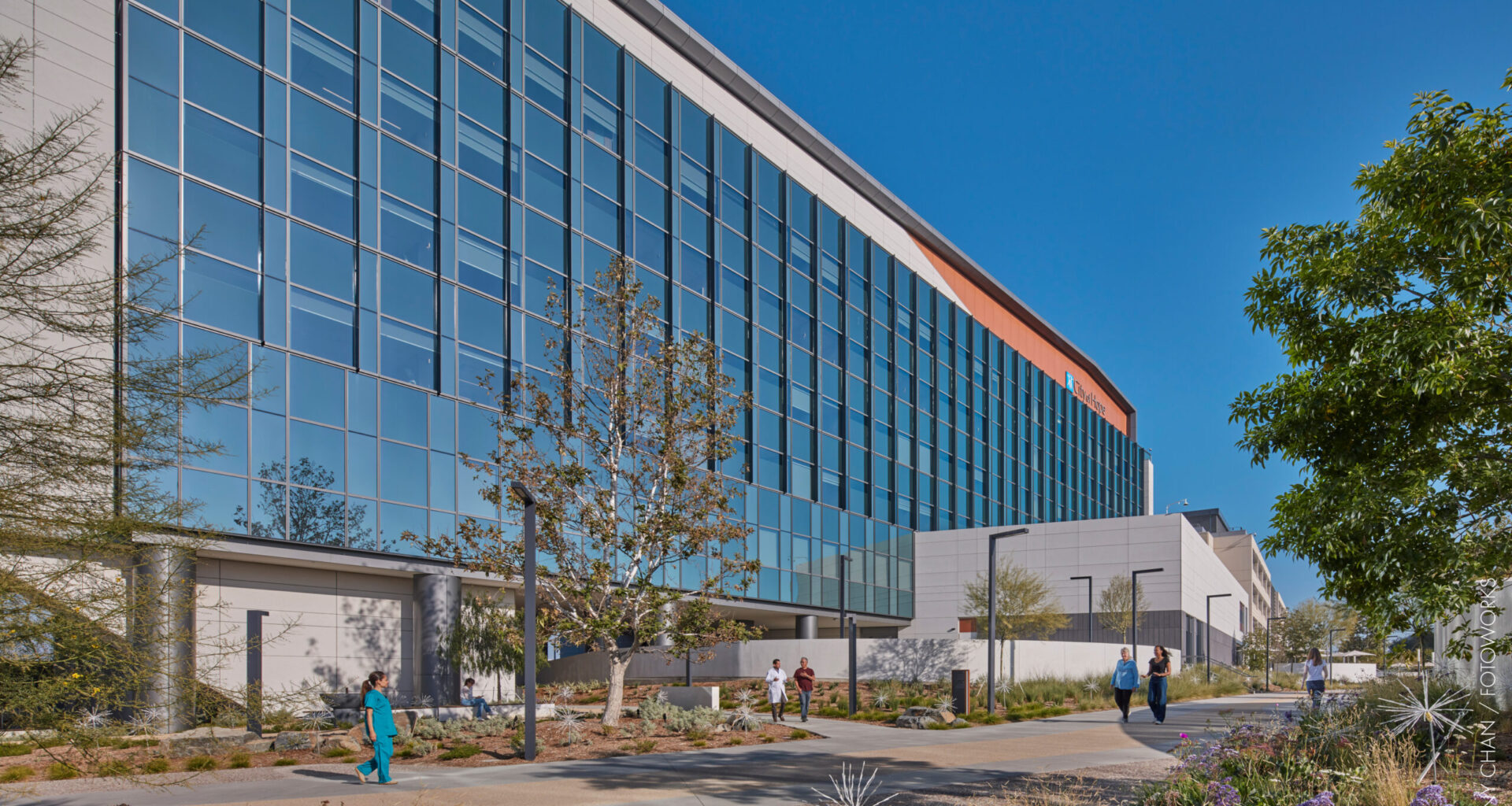 Advancing blood cancer research and treatment in Long Beach • Brand stories