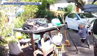 Coyote chases toddler in Southern California neighborhood