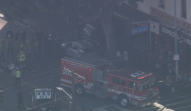 Car crashes into tree on downtown LA sidewalk – NBC Los Angeles