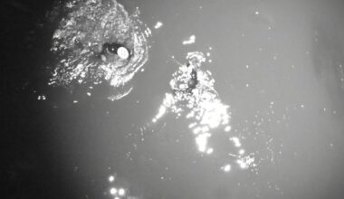 California surfer found clinging to lobster pot buoy after being swept out to sea