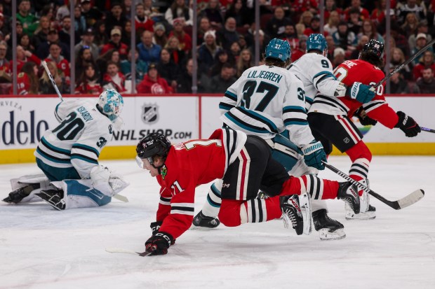 Chicago Blackhawks center Oliver Moore (11) falls on the ice during the first period against the San Jose Sharks at the United Center Monday Feb. 2, 2026 in Chicago. (Armando L. Sanchez/Chicago Tribune)