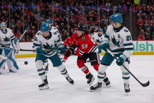 San Jose Sharks right wing Collin Graf (51) and Chicago Blackhawks left wing Tyler Bertuzzi (59) chase after the puck during the first period at the United Center Monday Feb. 2, 2026 in Chicago. (Armando L. Sanchez/Chicago Tribune)