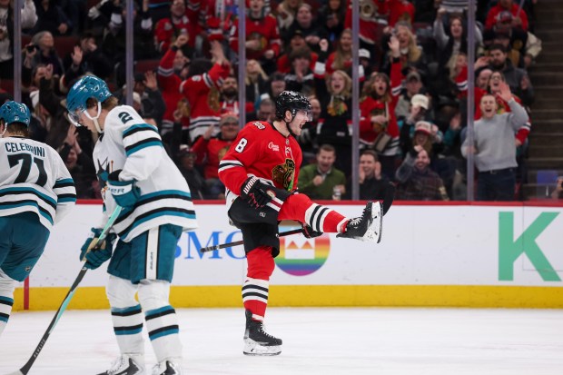 Chicago Blackhawks center Ryan Donato (8) celebrates after scoring a goal during the third period against the San Jose Sharks at the United Center Monday Feb. 2, 2026 in Chicago. (Armando L. Sanchez/Chicago Tribune)