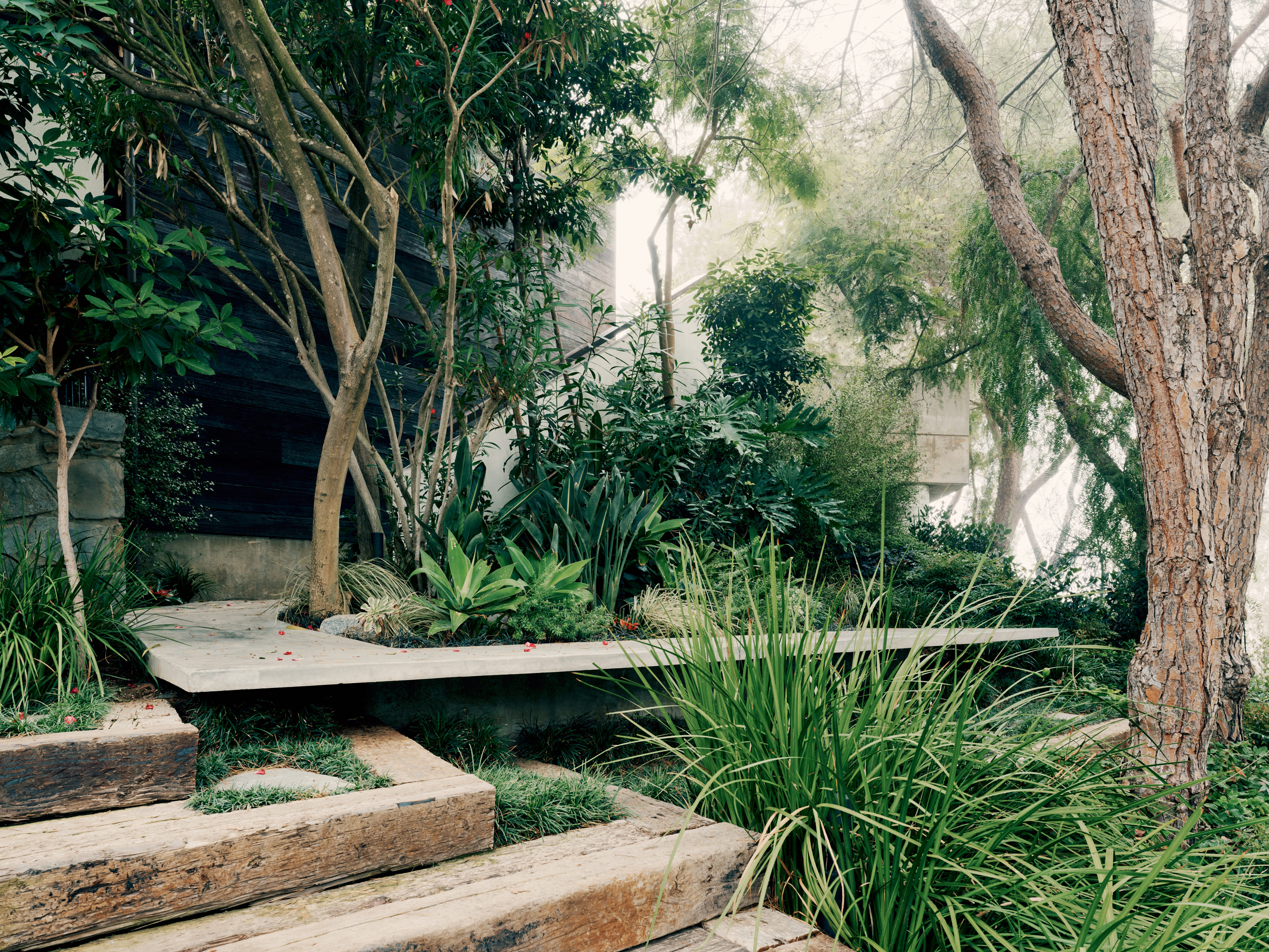 view of Lautner's Castle, a midcentury modernist house refreshed for the present day, showcasing arched timber, and stone and wood surfaces among greenery