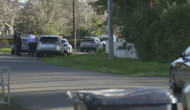 Mother arrested after 3-year-old son dies from blunt force trauma