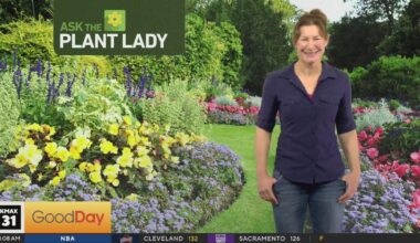 Plant Lady - 8am (part 1)