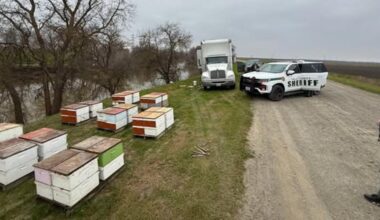 Sacramento man arrested after stolen beehives found in remote Yolo County area