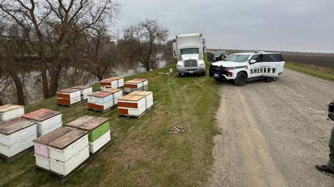 Sacramento man arrested after stolen beehives found in remote Yolo County area
