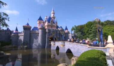 Disneyland disputes reports of tree falling on visitor – NBC Los Angeles