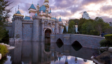 Winter Storm Topples Tree at Disneyland, Injuring 2 Visitors