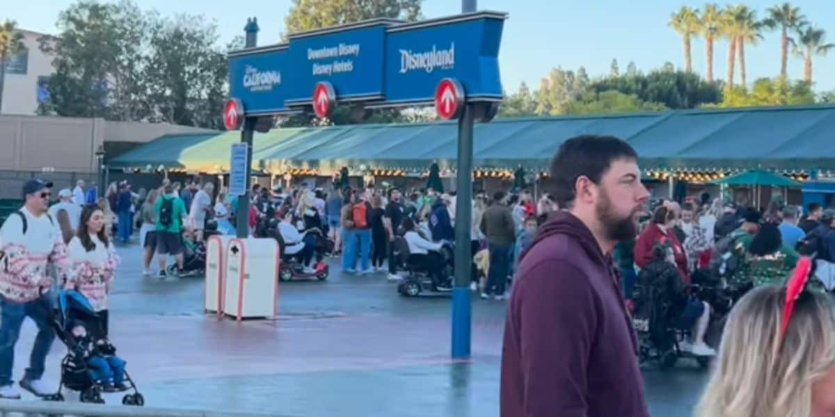 The line to enter Disneyland Resort security.