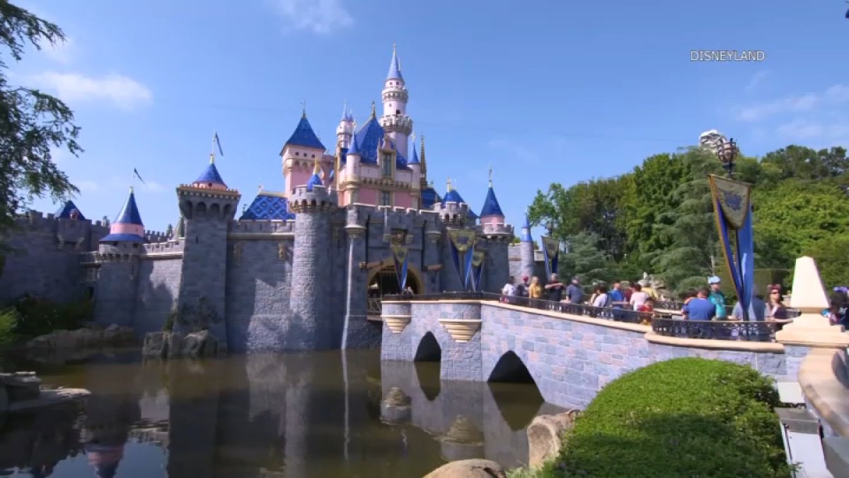 Disneyland disputes reports of tree falling on visitor – NBC Los Angeles