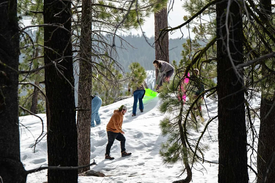 Friends sled and play in the snow at Hell's Kitchen Overlook, a vista point near Bear Valley not designated for snow play due to hazards such as rocks and trees. (Louis Bryant III/For the S.F. Chronicle)