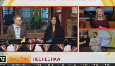 Hee Hee Haw! 2-8-2026 - Good Day Sacramento