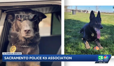 Sacramento Police Canine Association covers cost of care for retired police dogs