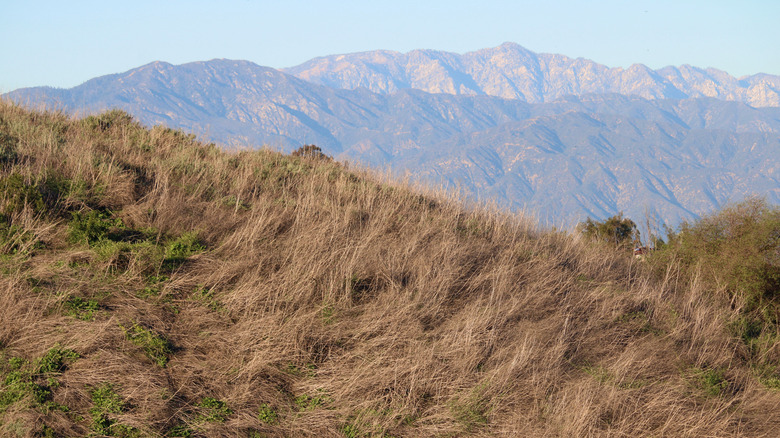 Hills near Whittier with view of San Gabriel Mountains