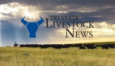 Supreme Court denies appeal of California congressional map