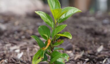 What a farmer wants OU students to understand about food – The Oakland Post