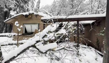 Tree falls through bedroom in Grass Valley during California storm