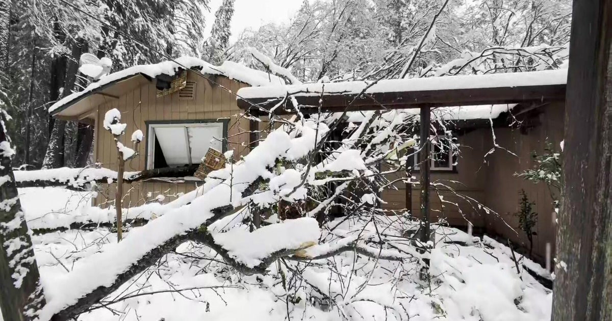 Tree falls through bedroom in Grass Valley during California storm