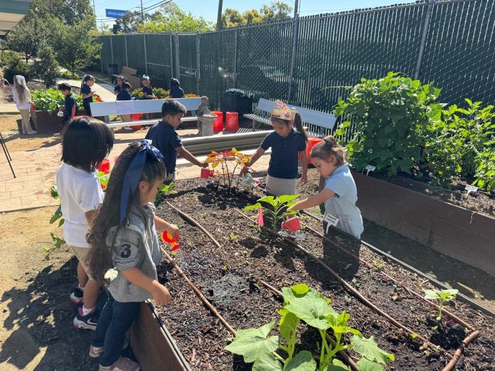 From seed to sustainability | The Star News