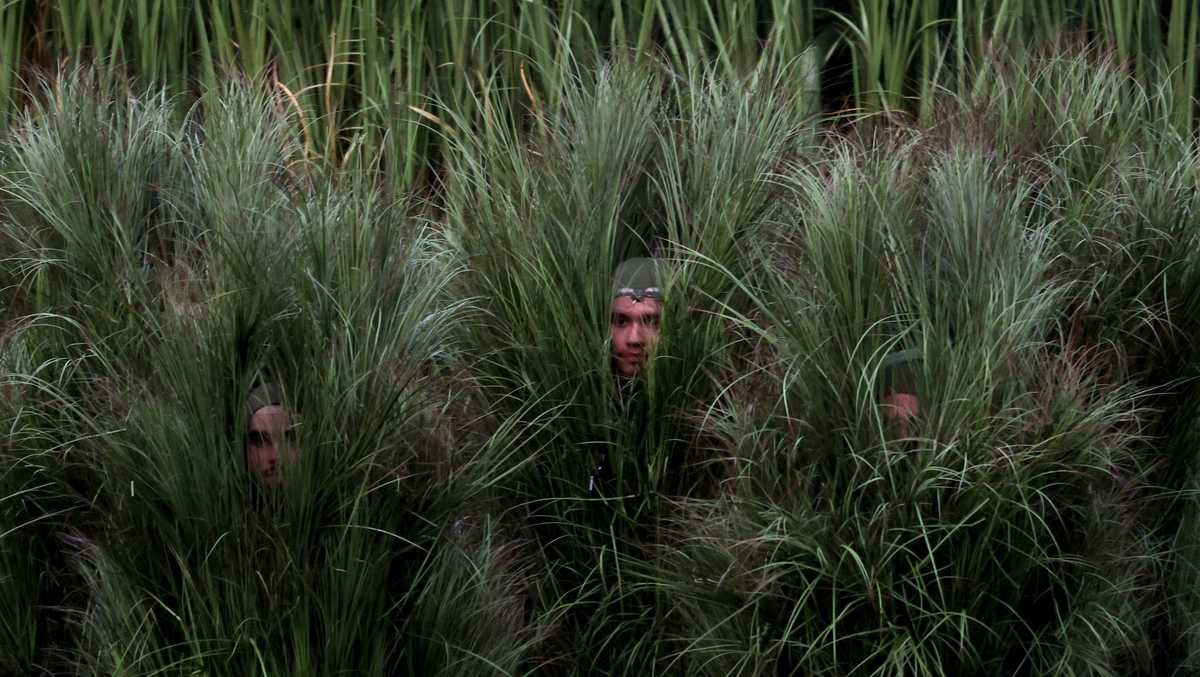 Performers dressed in bushes during Bad Bunny's halftime show share experience