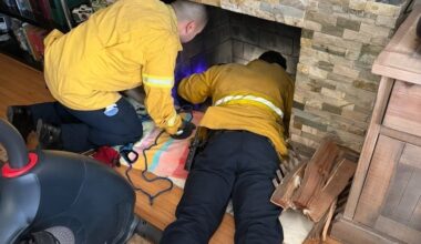Senior Cat Stuck In Chimney At Seal Beach Home: OCFA