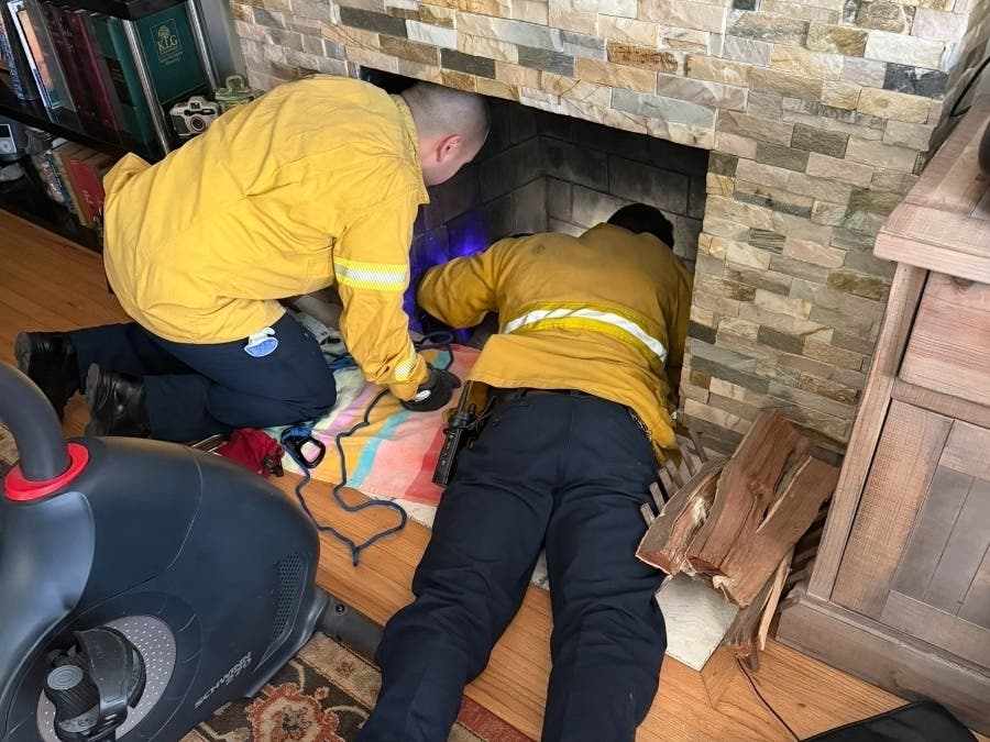 Senior Cat Stuck In Chimney At Seal Beach Home: OCFA