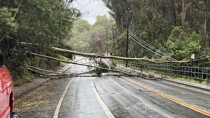 Downed tree on power lines closes road in California
