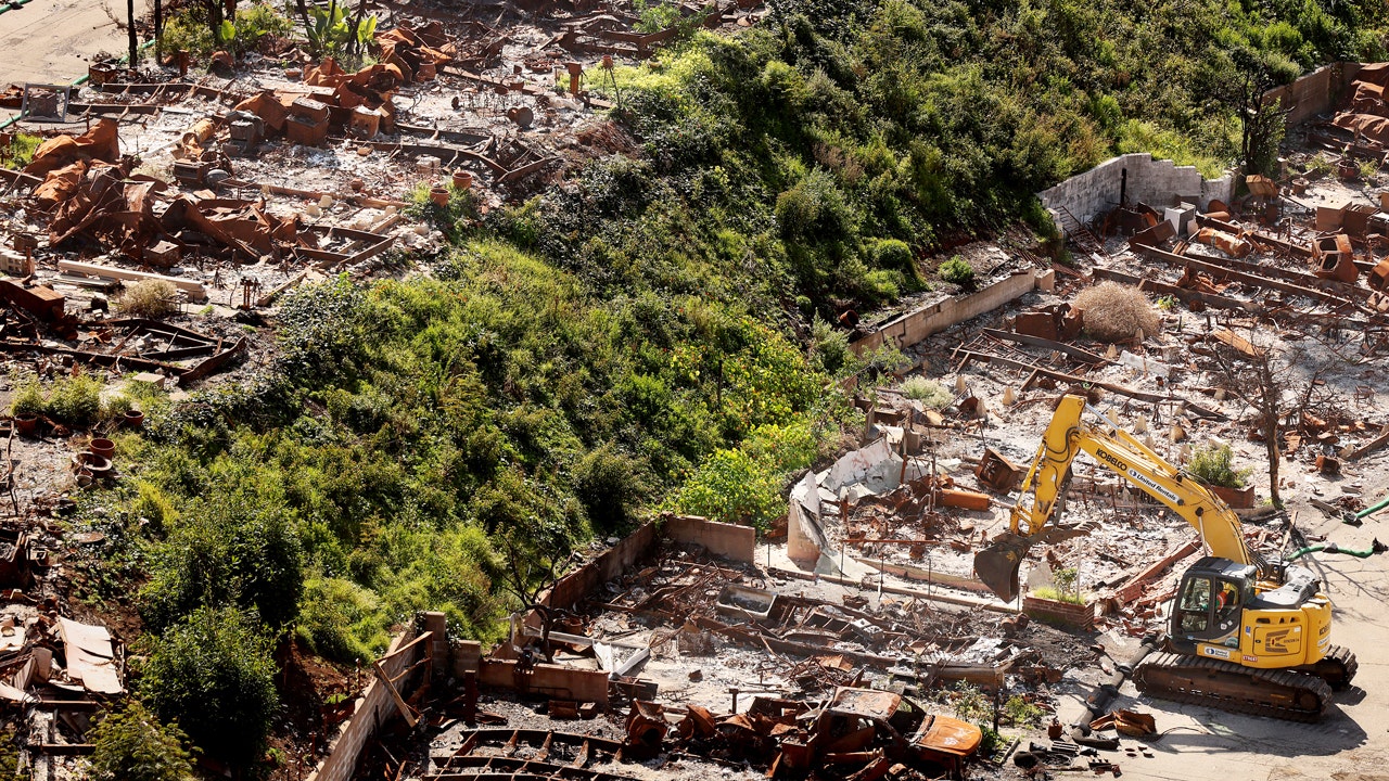 Los Angeles fires rebuilding struggles continue over year later amid delays