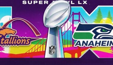 Patriots-Seahawks Could Have Been St. Louis vs. Anaheim