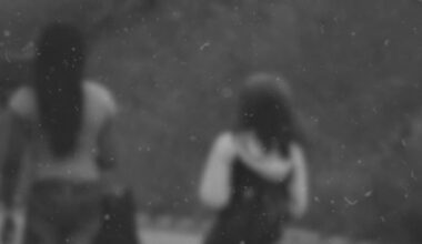 Massive California brothel network dismantled; 2 arrest in yearlong probe