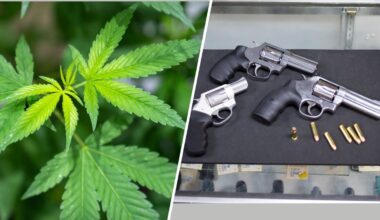 Supreme Court case over marijuana users owning guns creates unusual alliances – NBC 7 San Diego