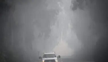 Understanding Fresno’s Dense Fog: Causes and Essential Driving Safety Tips