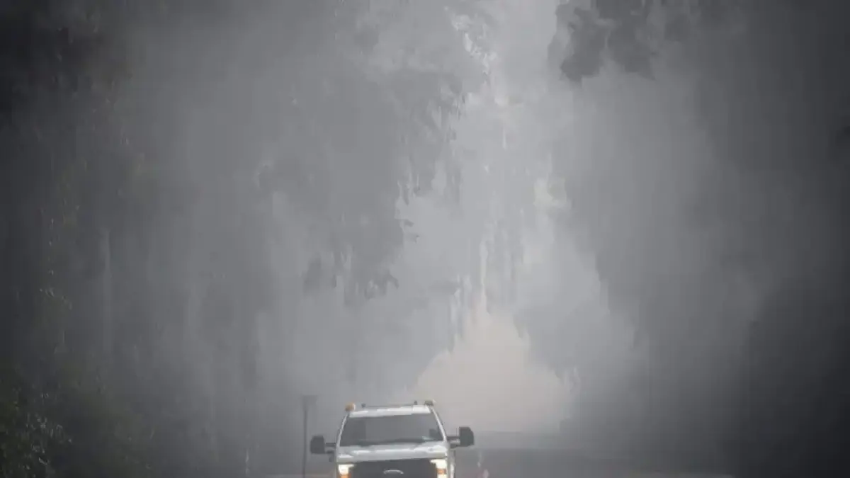 Understanding Fresno’s Dense Fog: Causes and Essential Driving Safety Tips