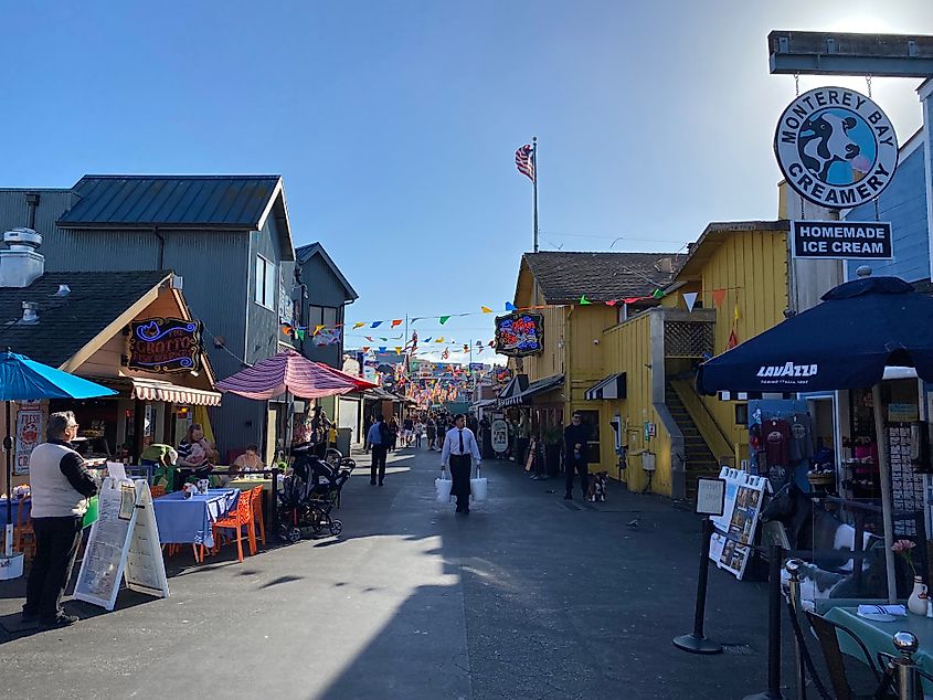 Old Fisherman's Wharf. Photo: Andrew Douglas