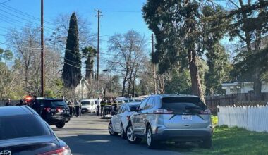 Sacramento coroner identifies 3-year-old who died, mom arrested