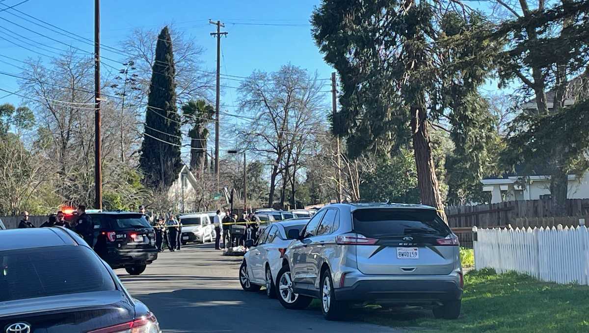 Sacramento coroner identifies 3-year-old who died, mom arrested