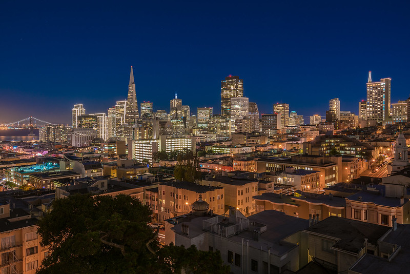 View of SF skyline at night from Ina Coolbrith Park.